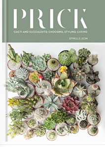 PRICK CACTI & SUCCULENTS