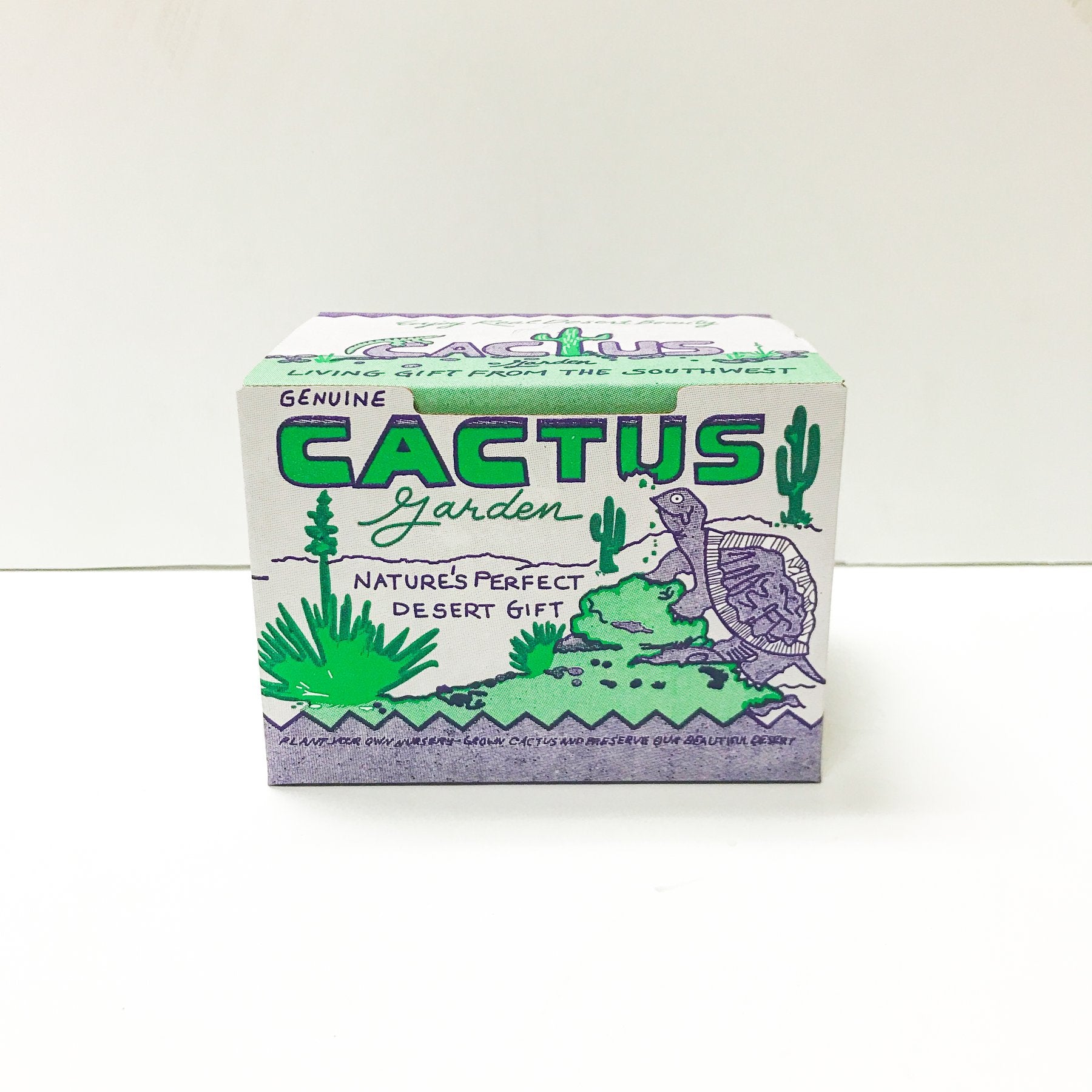 PURPLE TURTLE